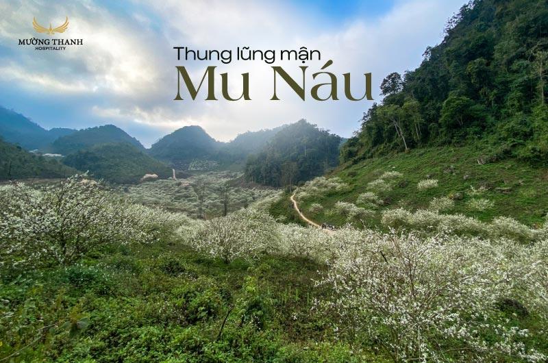 Đồi chè xanh mướt, một điểm tham quan nổi tiếng gần Mama House Mộc Châu, nơi du khách có thể chụp ảnh và tận hưởng không khí trong lành.